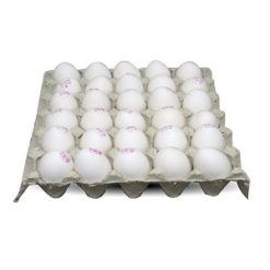 تخم مرغ شانه 30 عددی